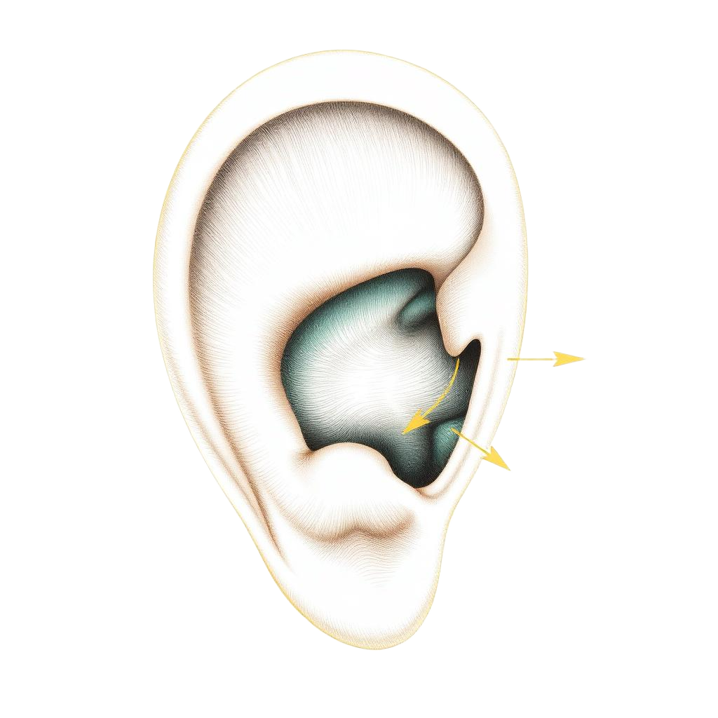 Vertigo & BPPV Management